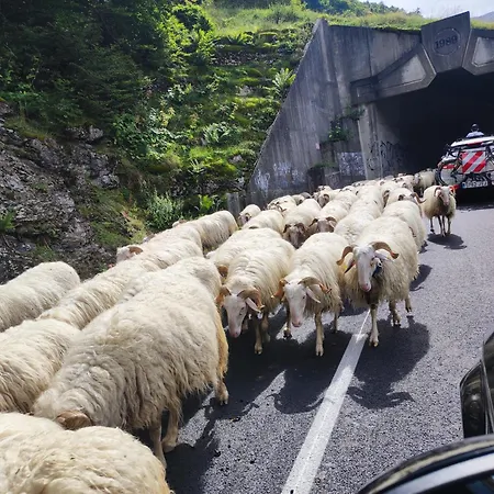 Rural * Bielle